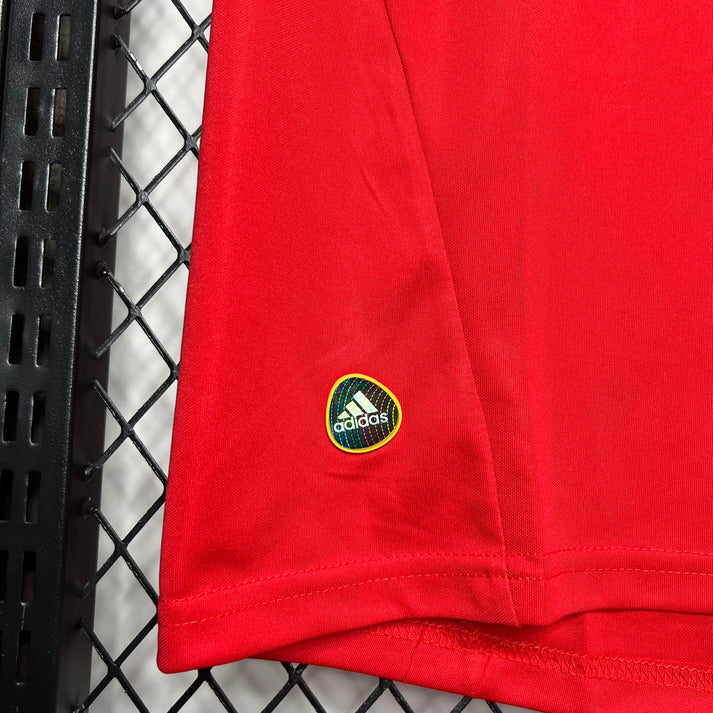 Spain 2010 Home Shirt