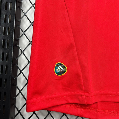 Spain 2010 Home Shirt